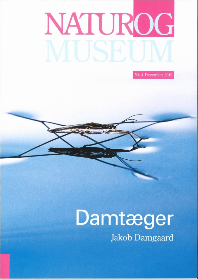 Damtæger